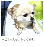 ぺこちゃんもよろしくです。